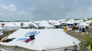 UN-Experten fordern Entsendung einer unabh&auml;ngigen Schutztruppe in den Sudan