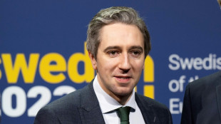 Simon Harris soll zu neuem irischen Regierungschef gew&auml;hlt werden