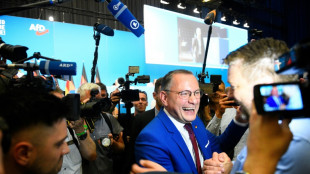 AfD-Parteitag best&auml;tigt Weidel und Chrupalla - Massive Proteste in Essen