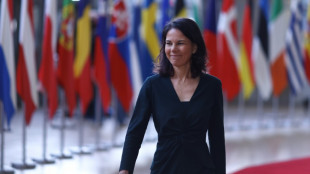 Baerbock macht sich f&uuml;r Reformen der internationalen Institutionen stark