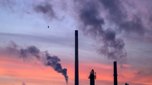 Deutsche Industrie begr&uuml;&szlig;t milliardenschwere Klimaschutzvertr&auml;ge