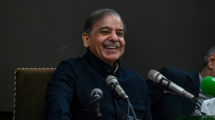 Parlamentswahl in Pakistan: Shebaz Sharif zum Premierminister gew&auml;hlt