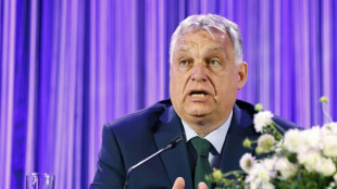"Patrioten f&uuml;r Europa": Orban und Kickl wollen neue Rechtsau&szlig;en-Fraktion gr&uuml;nden