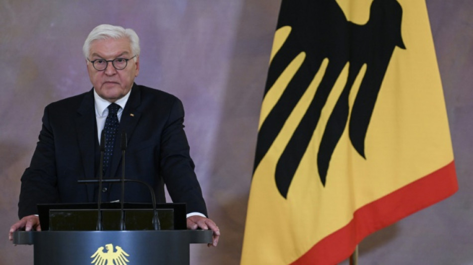 Steinmeier f&uuml;hrt vertrauliche Gespr&auml;che mit Parteien &uuml;ber Neuwahlen
