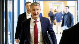 Verteidigung geht nach neuer Verurteilung von AfD-Politiker H&ouml;cke in Revision