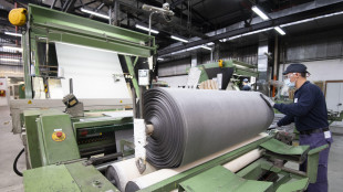 Istat,nel 2023 occupazione sale soprattutto tra i più poveri