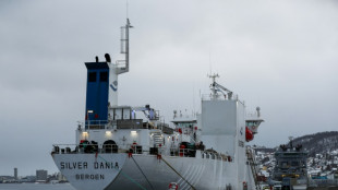 Besch&auml;digtes Ostseekabel: Norwegische Polizei untersucht Schiff mit russischer Crew