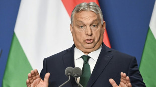 EU verurteilt mutma&szlig;liche Orban-Reise zu Putin scharf