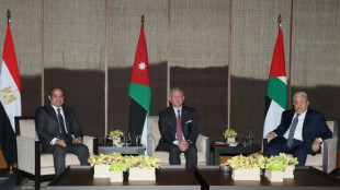 Abdullah II., al-Sisi und Abbas dr&auml;ngen auf Waffenstillstand im Gazastreifen