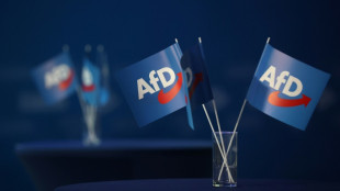 AfD-interner Streit in Th&uuml;ringer Landkreis: Partei b&uuml;&szlig;t Stimmen ein