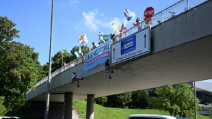 Gericht erlaubt Umweltaktivisten Kletteraktion an Br&uuml;cke in Ulm