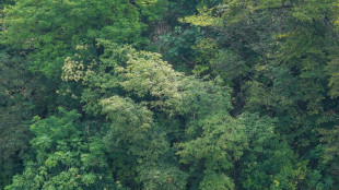 Morì dopo rito sciamanico, quattro indagati