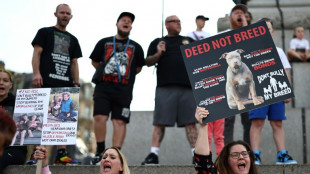 Nach t&ouml;dlichen Bei&szlig;attacken: Britische Regierung verbietet American XL Bullys