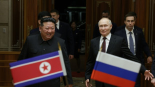 Agenturen: Putin k&uuml;ndigt neues "Grundlagendokument" zwischen Russland und Nordkorea an 