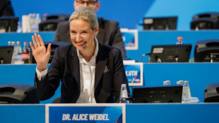 AfD-Bundesparteitag kürt Weidel zur Kanzlerkandidatin