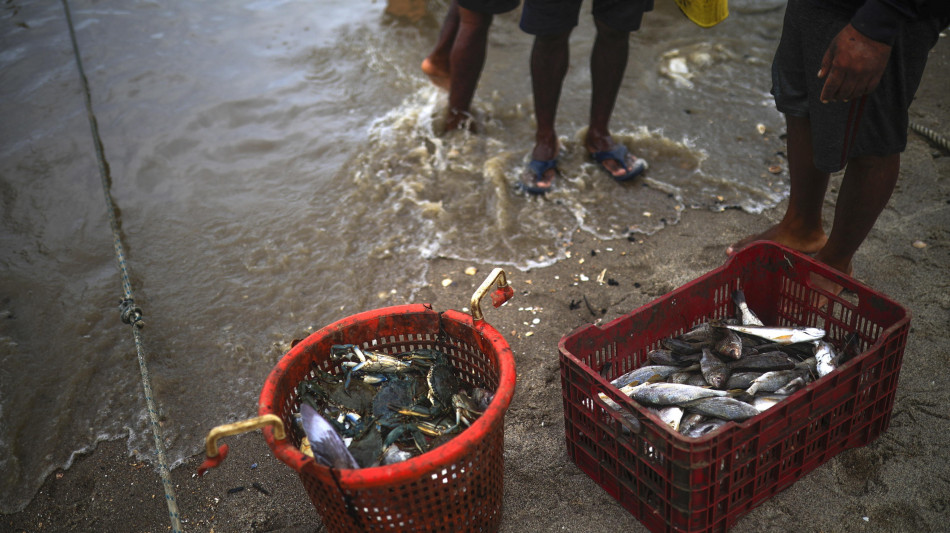 Maxi-sequestro di chili di pesce senza tracciabilit&agrave; in una pescheria di Formia