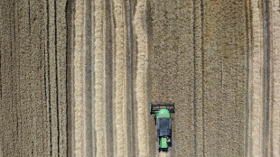 Torna a crescere l'Agricoltura 4.0, &egrave; un business da 2,5 miliardi