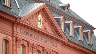 Freie W&auml;hler Rheinland-Pfalz k&uuml;nftig als Gruppe in Landtag anerkannt