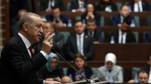 T&uuml;rkischer Parlamentsausschuss stimmt Nato-Beitritt Schwedens zu