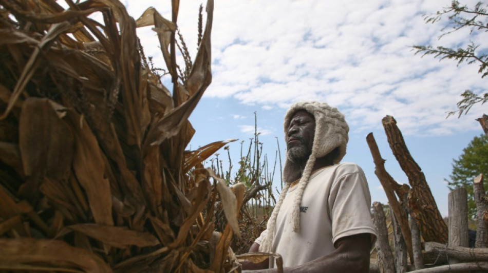 Se acaban los alimentos en Zimbabue debido a una grave sequ&iacute;a