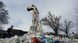 US-Regierung will Einwegplastik bis 2035 aus Bundesbeh&ouml;rden verbannen