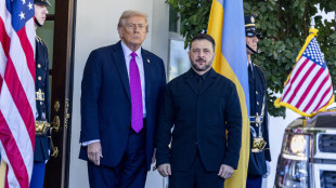 Trump, Usa disposti a contribuire nell'assistenza a Kiev in un accordo di pace
