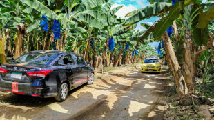 Panama hopes to secure return of US banana giant Chiquita