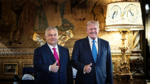Hungary's Orban to meet Trump in face of Russia oil sanctions