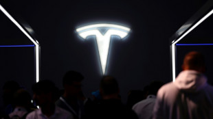 Angriffe im Roten Meer: Tesla muss Produktion in Gr&uuml;nheide vor&uuml;bergehend stoppen