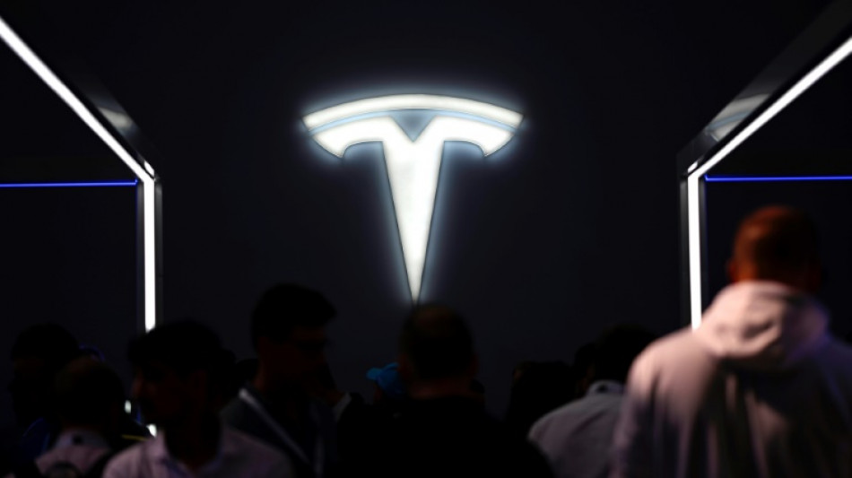 Angriffe im Roten Meer: Tesla stoppt vor&uuml;bergehend Produktion in Gr&uuml;nheide
