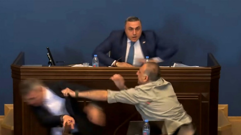 Georgien: Ausschreitungen im Parlament bei Debatte zu Gesetz zu "ausl&auml;ndischen M&auml;chten"