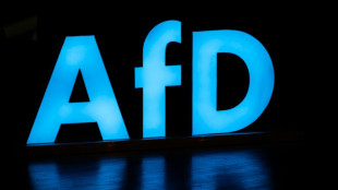 Umfrage: AfD bei M&auml;nnern deutlich beliebter als bei Frauen