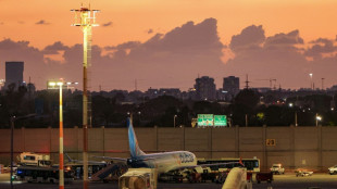 Un piloto indio, ensalzado como un "h&eacute;roe" tras un forcejeo en pleno vuelo hacia Israel