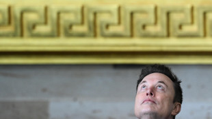 L'America Party riaccende lo scontro fra Musk e Bannon