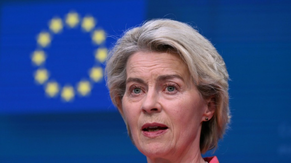 Vor Wahl im EU-Parlament: Von der Leyen f&uuml;r E-Fuels und Industrief&ouml;rderung