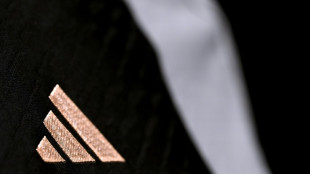 Gericht verbietet Adidas-Werbung zur Klimaneutralität