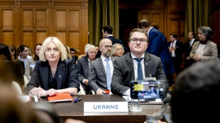 UN-Gericht erkl&auml;rt sich weitgehend zust&auml;ndig f&uuml;r Kiews Klage zu russischer Invasion