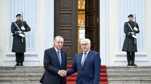 Pr&auml;sident Steinmeier reist kommende Woche in die T&uuml;rkei