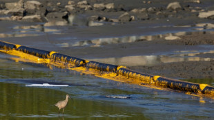 Pipeline-Betreiber zahlen nach &Ouml;lpest in Kalifornien 13 Millionen Dollar
