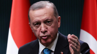 La Turquie s'appr&ecirc;te &agrave; approuver l'entr&eacute;e de la Finlande dans l'Otan
