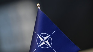 Ungarisches Parlament stimmt am Montag &uuml;ber schwedischen Nato-Beitritt ab
