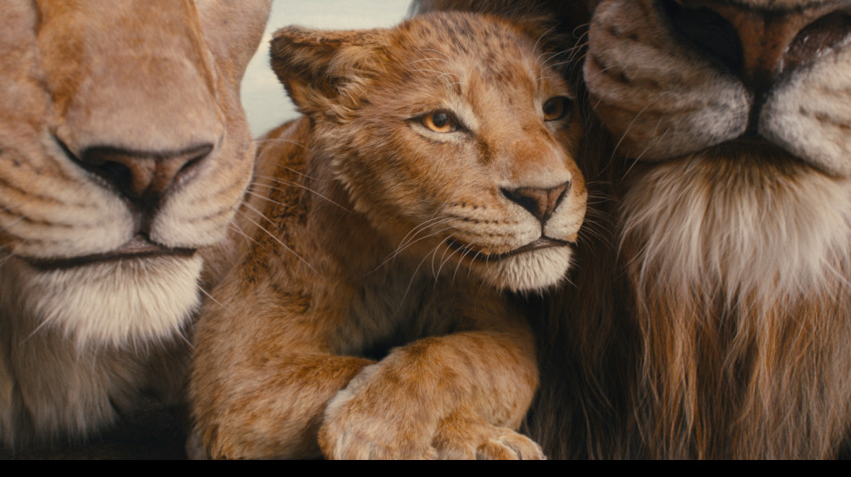 Il cinema pi&ugrave; atteso per le Feste da Mufasa a Ozpetek