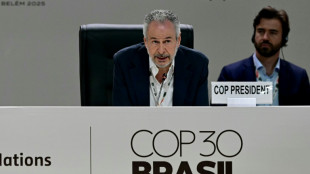 Keine Einigung in Sicht: Weltklimakonferenz in Belém geht in die Verlängerung