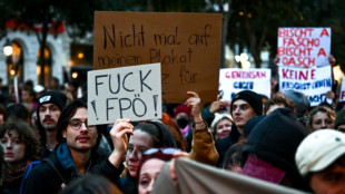FP&Ouml;-Chef Kickl nach Parlamentswahl von &Ouml;sterreichs Pr&auml;sident Van der Bellen empfangen