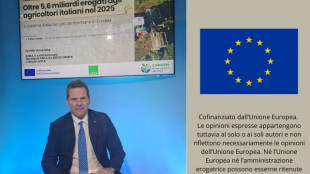 Vitale (Agea), 'in momento drammatico dare certezze, per agricoltori oltre 6 miliardi'