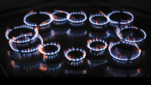 Il gas supera i 79 euro ad Amsterdam, sui massimi da 3 anni