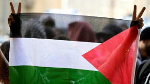 Gericht: Propal&auml;stinensische Demonstration in Frankfurt am Main darf stattfinden