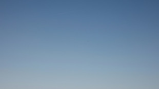 Londres crea el "Club del grito" para liberar el estrés gritando