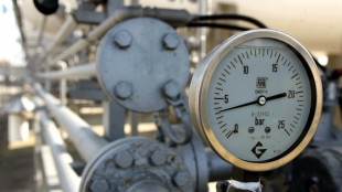 C'&egrave; pi&ugrave; domanda, il prezzo del gas chiude a 41,6 euro