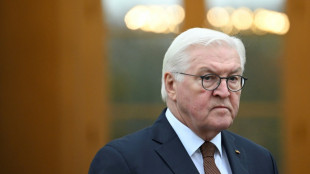 Steinmeier ruft zu st&auml;rkerem ehrenamtlichen Engagement auf